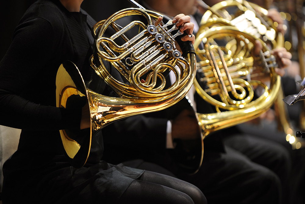 Horn Section